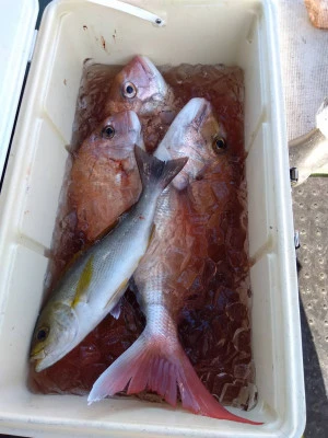 優幸丸の2025年11月22日(土)1枚目の写真