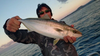 第三飛翔の2025年11月22日(土)2枚目の写真