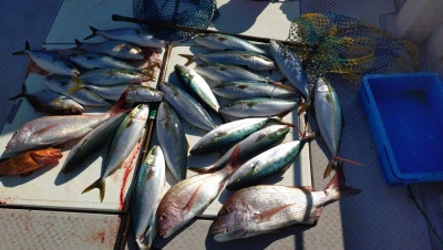 第三飛翔の2025年11月22日(土)5枚目の写真