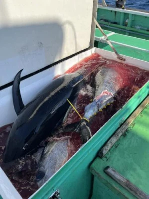 翔太丸の2025年11月23日(日)5枚目の写真