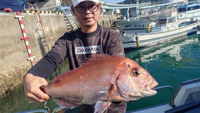 第三飛翔の2025年11月23日(日)3枚目の写真