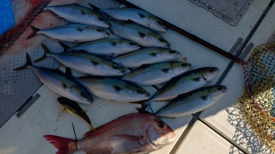 第三飛翔の2025年11月23日(日)4枚目の写真