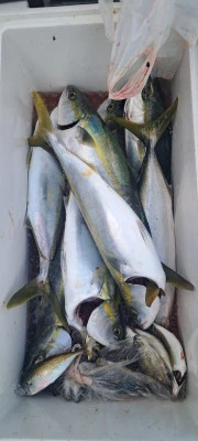 釣り船くわだの2025年11月21日(金)3枚目の写真