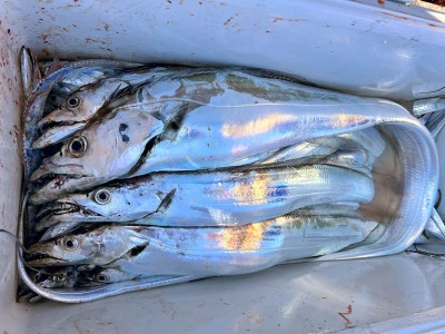 橋安丸の2025年11月24日(月)3枚目の写真