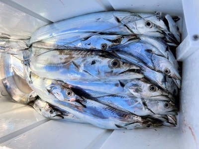 橋安丸の2025年11月24日(月)4枚目の写真