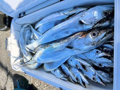 橋安丸の2025年11月24日(月)5枚目の写真