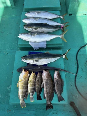 愛晃丸フィッシングの2025年11月23日(日)4枚目の写真