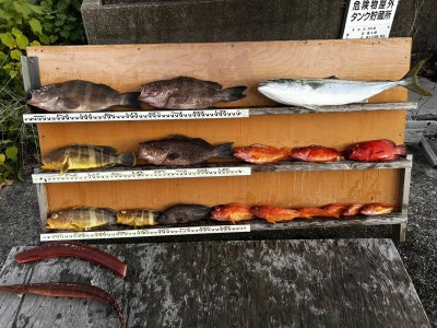 愛晃丸フィッシングの2025年11月23日(日)5枚目の写真