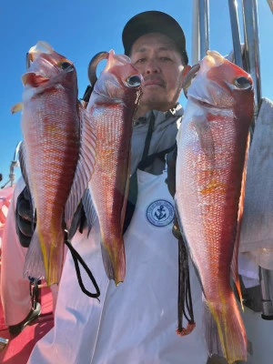 第八幸松丸の2025年11月24日(月)2枚目の写真