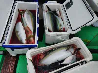 強丸の2025年11月25日(火)1枚目の写真