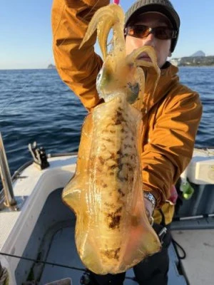 菜々海IIの2025年11月26日(水)1枚目の写真