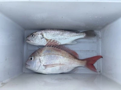 フィッシングセンター 海友の2025年11月23日(日)5枚目の写真