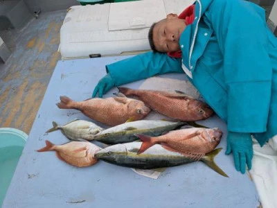 棒面丸の2025年11月25日(火)2枚目の写真