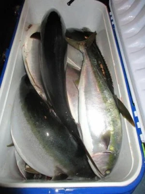 鈴木釣具店の2025年11月22日(土)1枚目の写真