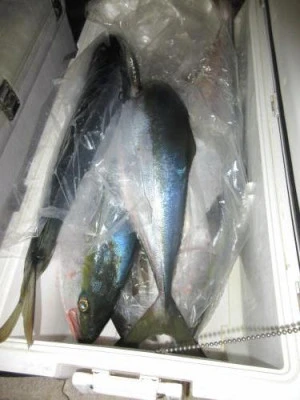 鈴木釣具店の2025年11月22日(土)3枚目の写真