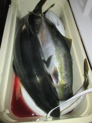 鈴木釣具店の2025年11月22日(土)4枚目の写真