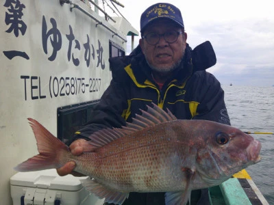 ゆたか丸の2025年11月24日(月)3枚目の写真