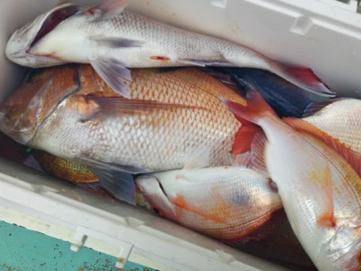 ゆたか丸の2025年11月24日(月)5枚目の写真