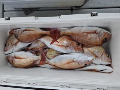 アーデン3号の2025年11月26日(水)1枚目の写真