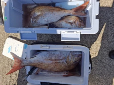 アーデン3号の2025年11月22日(土)1枚目の写真