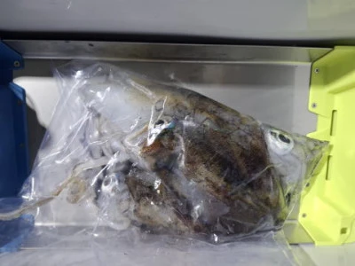 アーデン3号の2025年11月22日(土)2枚目の写真