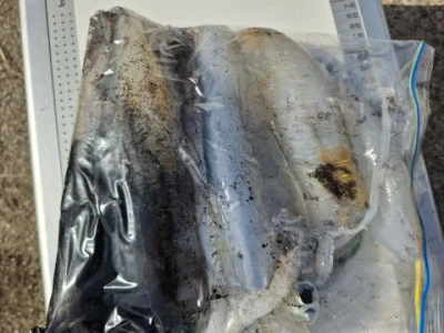 アーデン3号の2025年11月16日(日)1枚目の写真