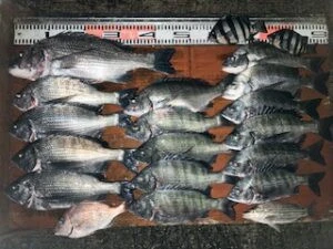 民宿とねの2025年11月25日(火)1枚目の写真