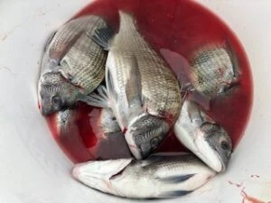 民宿とねの2025年11月25日(火)2枚目の写真