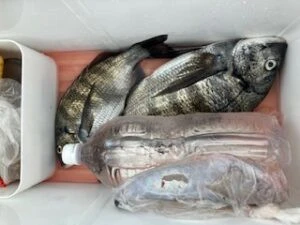 民宿とねの2025年11月25日(火)3枚目の写真