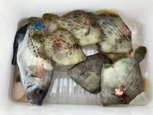 民宿とねの2025年11月25日(火)4枚目の写真