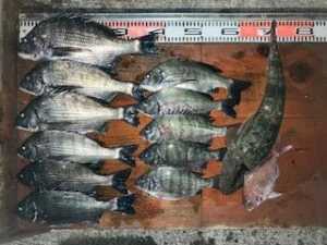 民宿とねの2025年11月23日(日)1枚目の写真