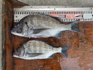 民宿とねの2025年11月21日(金)1枚目の写真