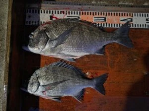 民宿とねの2025年11月21日(金)4枚目の写真