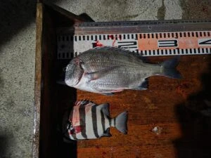 民宿とねの2025年11月21日(金)5枚目の写真