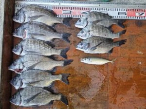 民宿とねの2025年11月20日(木)1枚目の写真