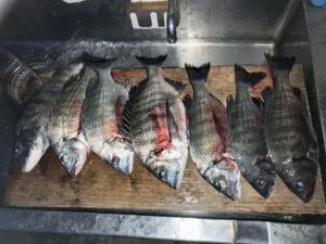 民宿とねの2025年11月20日(木)2枚目の写真