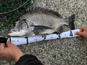 民宿とねの2025年11月20日(木)3枚目の写真