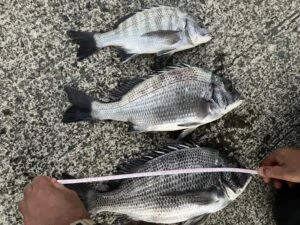 民宿とねの2025年11月20日(木)4枚目の写真