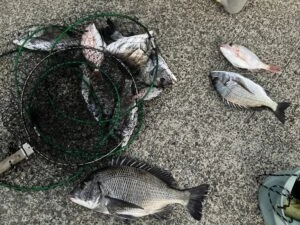 民宿とねの2025年11月20日(木)5枚目の写真