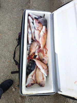 美代志丸の2025年11月24日(月)1枚目の写真