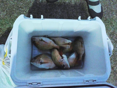 美代志丸の2025年11月24日(月)2枚目の写真