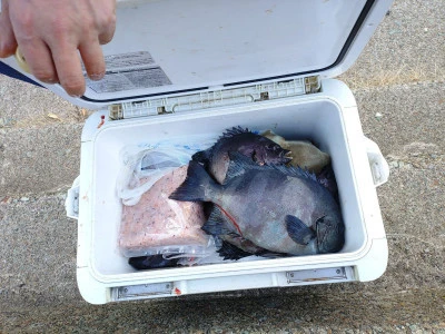 美代志丸の2025年11月24日(月)3枚目の写真