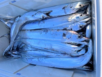 橋安丸の2025年11月28日(金)1枚目の写真