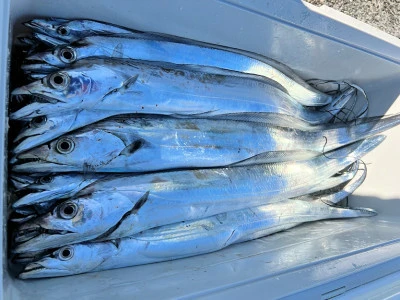 橋安丸の2025年11月28日(金)2枚目の写真