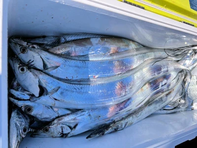 橋安丸の2025年11月28日(金)3枚目の写真