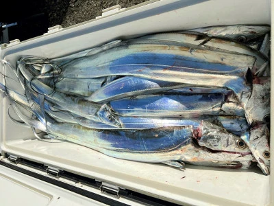 橋安丸の2025年11月28日(金)4枚目の写真