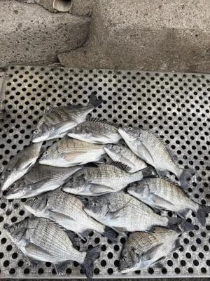 金丸渡船の2025年11月28日(金)1枚目の写真