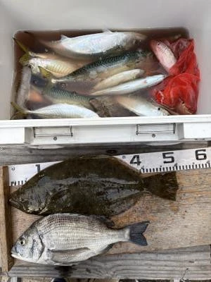 金丸渡船の2025年11月28日(金)2枚目の写真