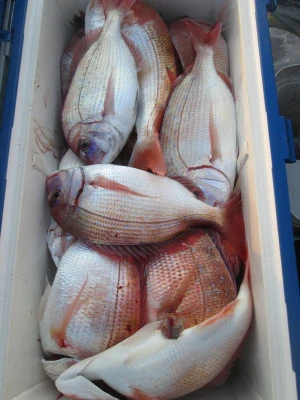 松福丸の2025年11月24日(月)5枚目の写真