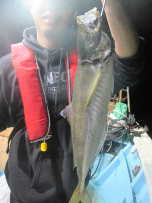 松福丸の2025年11月23日(日)3枚目の写真